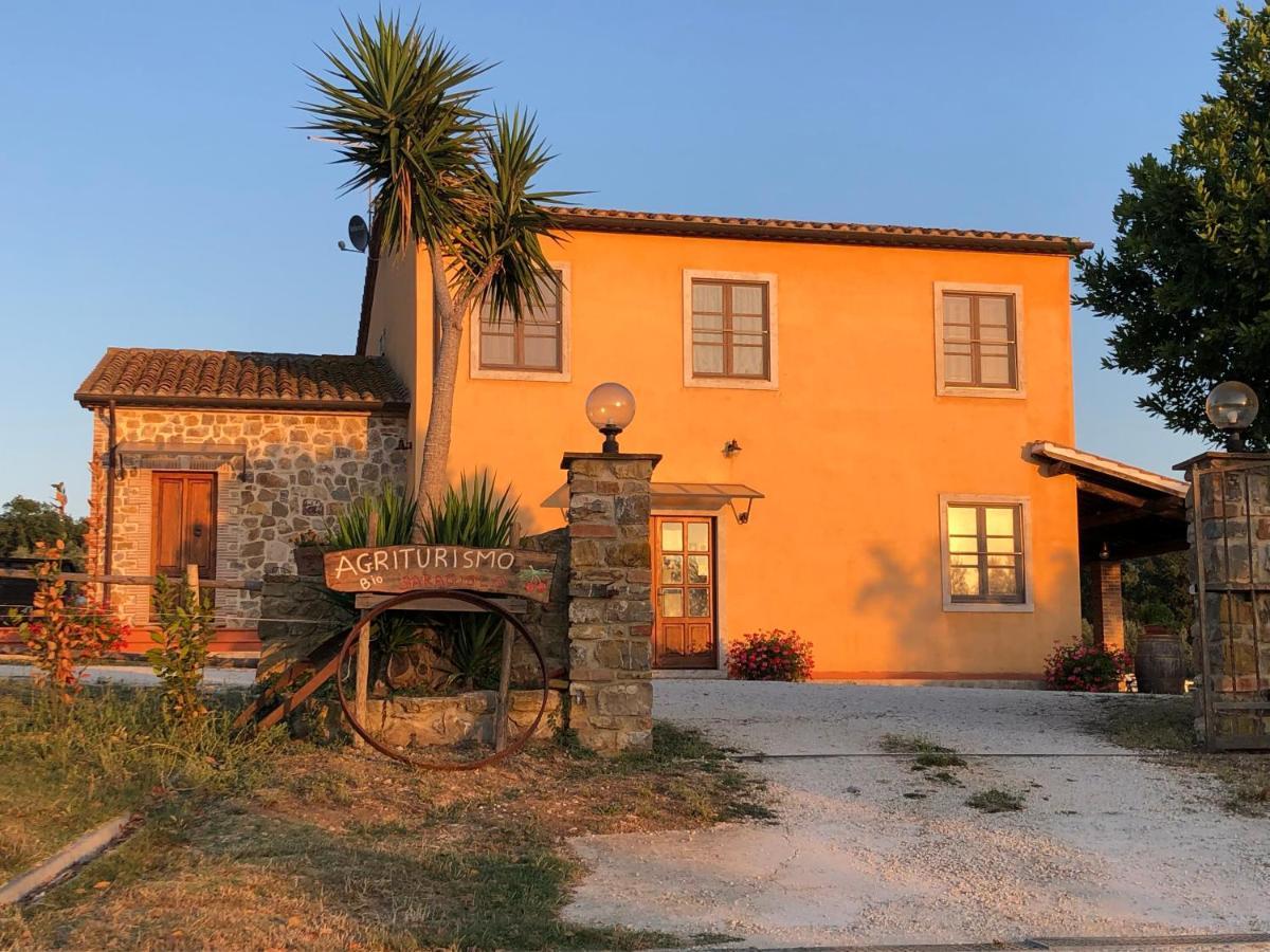 Agriturismo Il Saragiolo Villa Montemerano Buitenkant foto